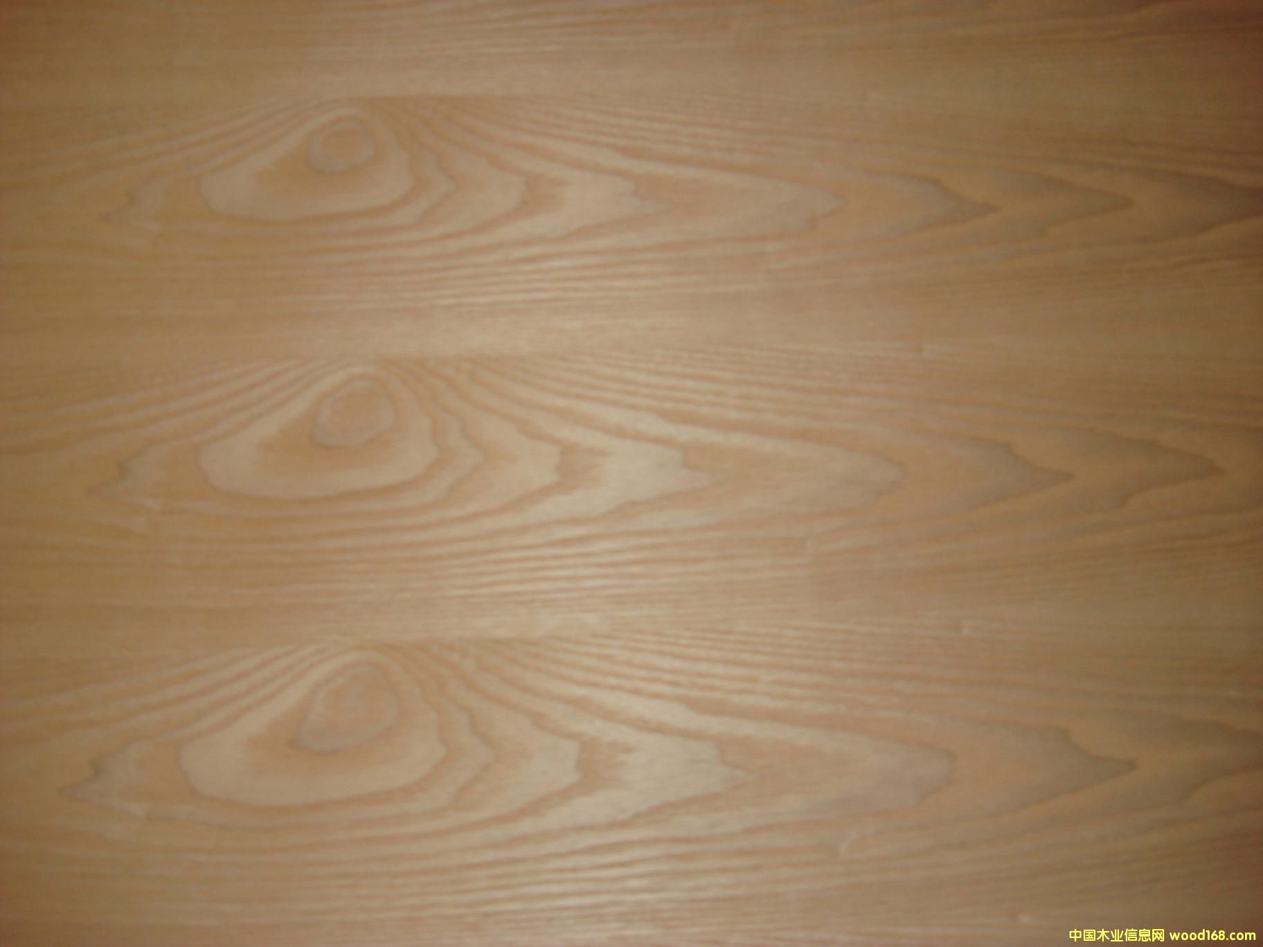 ��ꖼ��\ľ�I��Ԕ����B