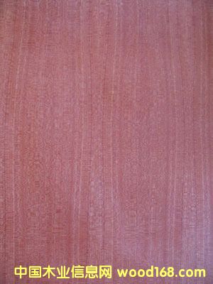 ��ꖼ��\ľ�I��Ԕ����B