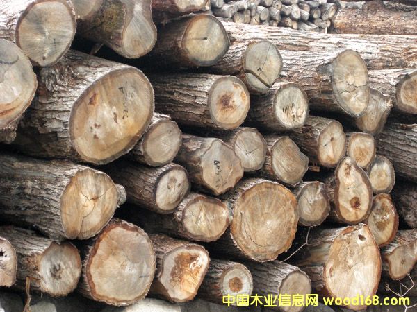 ԭľ��Ԕ��(x��)��B