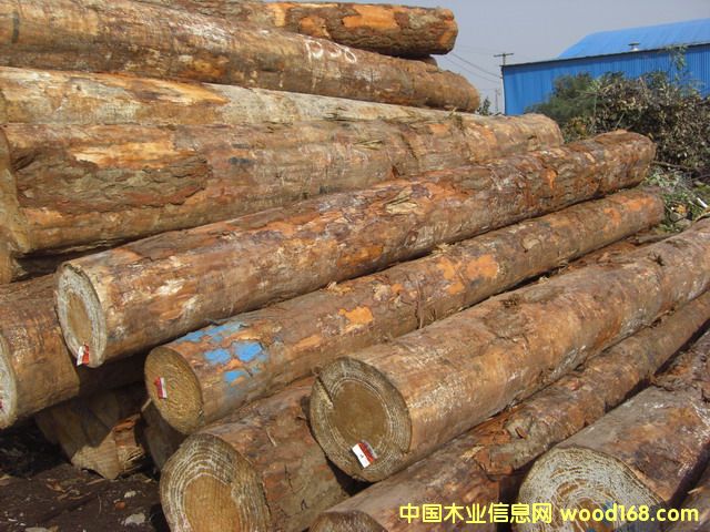 ݗ����ԭľ��Ԕ��(x��)��B