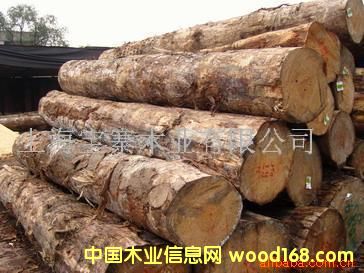 ݗ����ԭľ��Ԕ��(x��)��B