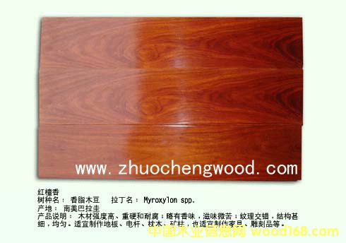 �t̴���Ԕ����B