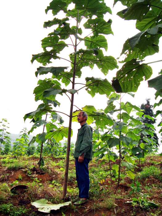 �c���鿴6�����s����ͩ��Ŵ�DƬ