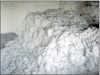 �c���鿴ľ�|���w�S�Ŵ�DƬ