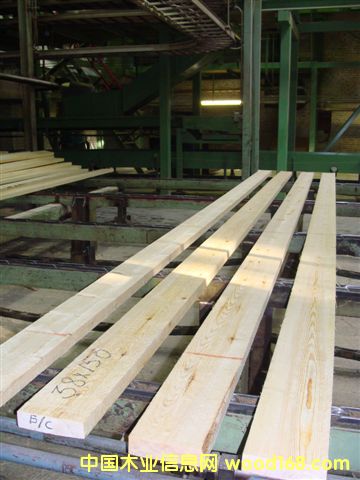 �����ɰ�ĵ�Ԕ����B