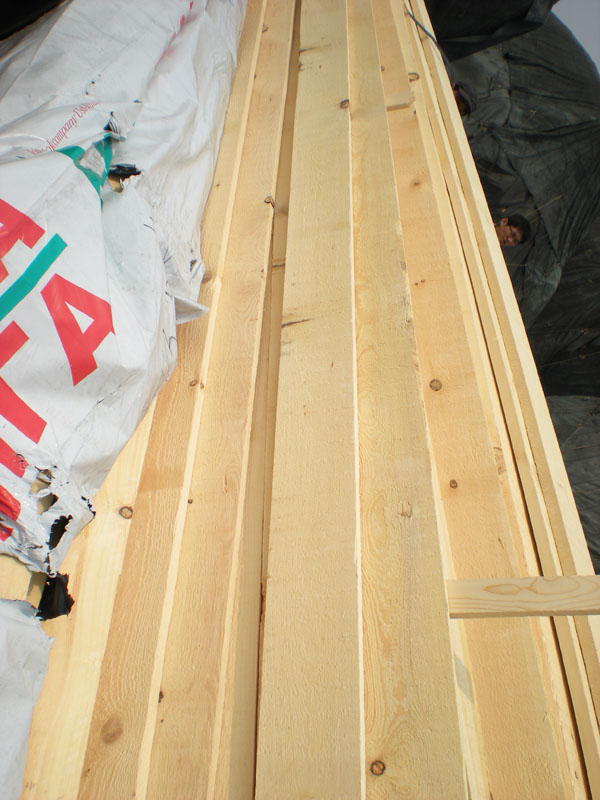 �����ɵ�Ԕ����B