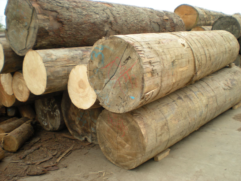 �Fɼԭľ��Ԕ����B