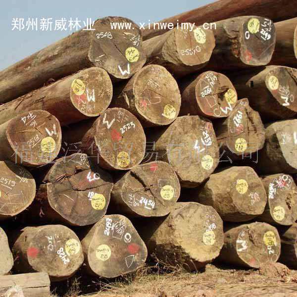 �c���鿴�|ݸɳ��ԭľ/ľ���M�����P������Ԕ���Y��