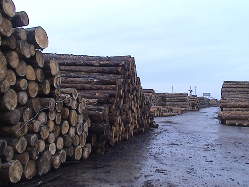 �c���鿴����/����//�|�ρ�/���_˹ľ���M�ڈ��P�����Ŵ�DƬ