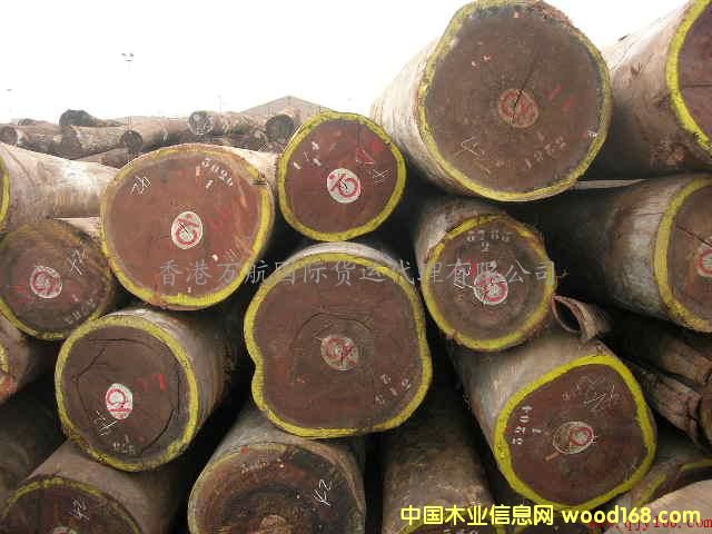 �c���鿴��ɽ�Ҿ��M�ڈ��P����/ľ���M����ɽ�����̙z�Ŵ�DƬ