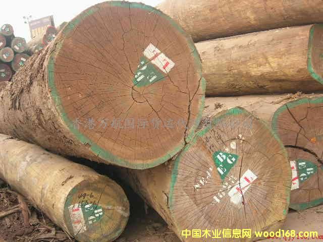 �c���鿴ľ���Ϻ��M�ڈ��P����/ľ���M������/�Ϻ�����ľ���M���̙z�Ŵ�DƬ