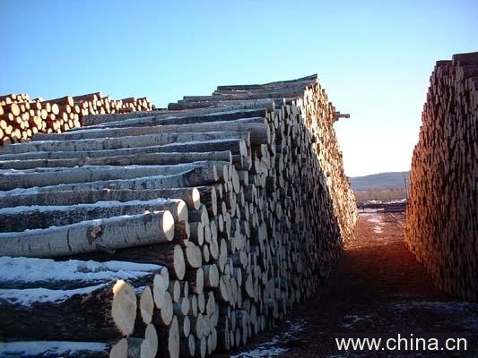 ��ľԭľ����ĵ�Ԕ��(x��)��B