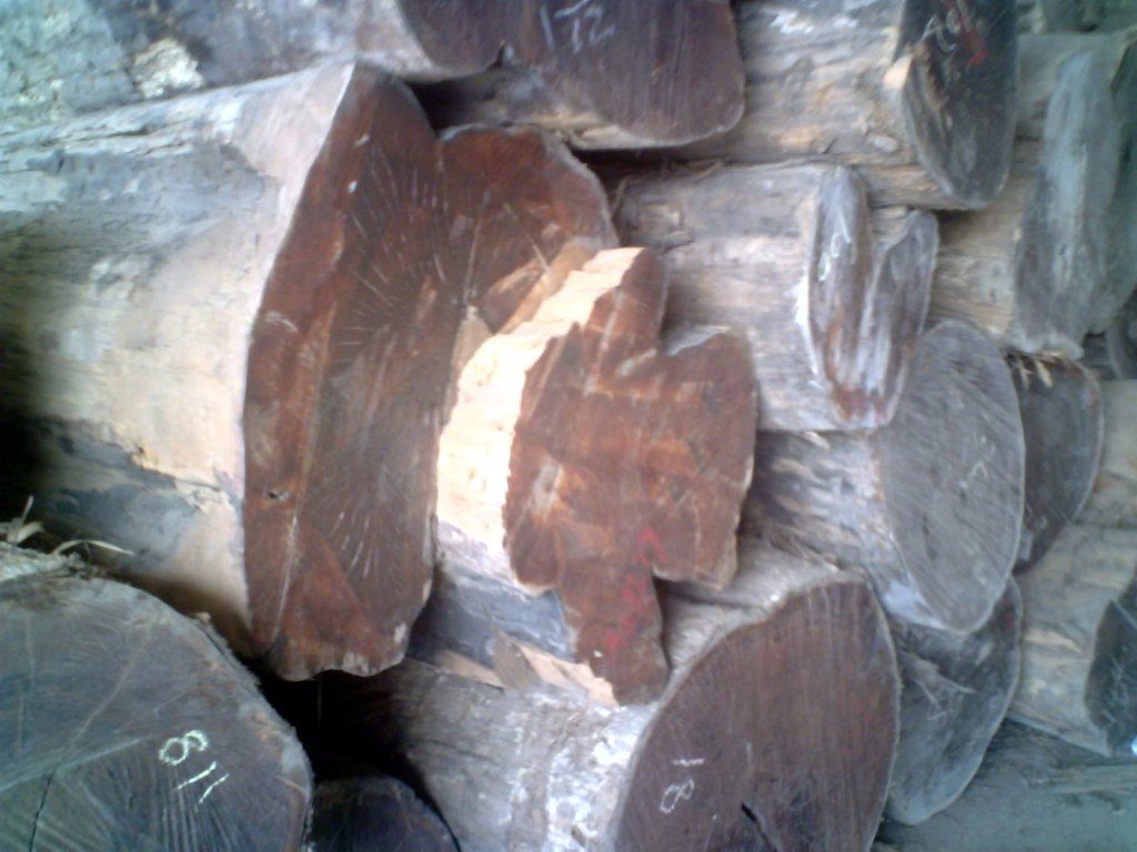 ��ľԭľ����Ĵ󷽵�Ԕ��(x��)��B