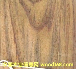 ӡ����̴sonokeling