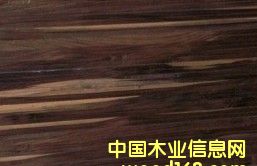 �c���鿴ӡ����̴�Ŵ�DƬ