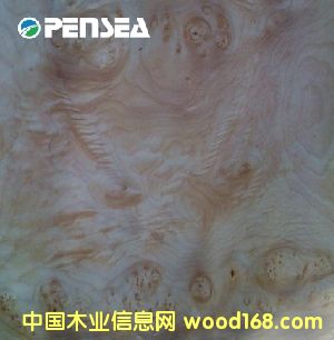 ��ľ����ľƤ