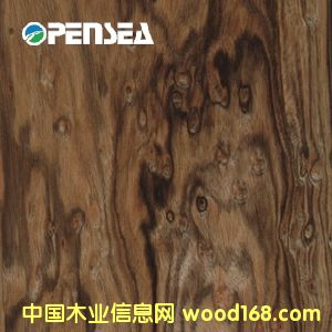 �P��ľƤ��Ԕ����B