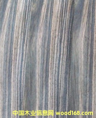 ��̴ľƤ��Ԕ��(x��)��B