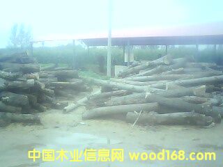 �S(ch��ng)��һ��