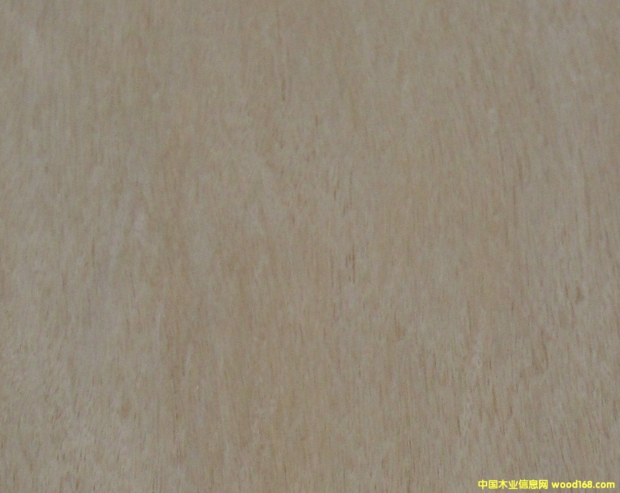 �S˨��Ԕ����B