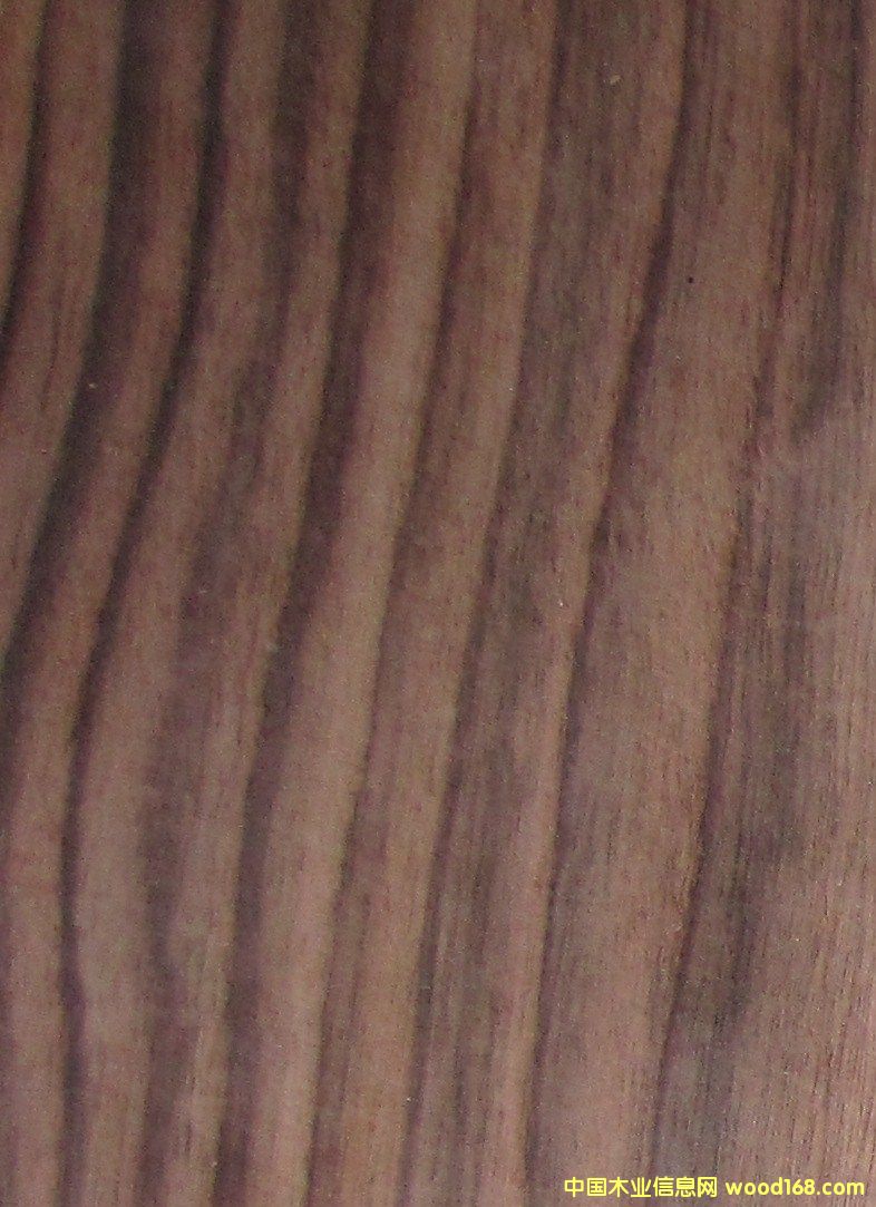 ��̴��Ԕ����B