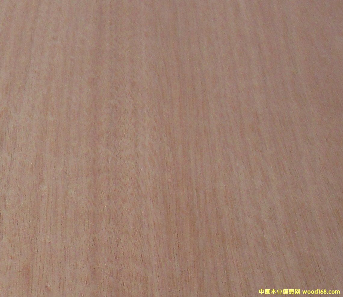 �W������Ԕ����B