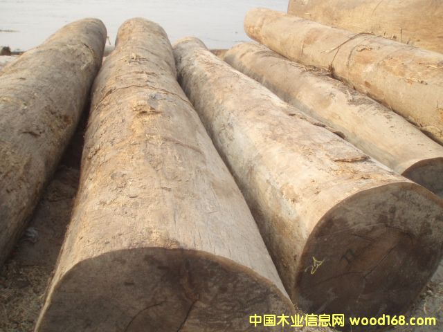 �u���Ԕ��(x��)��B