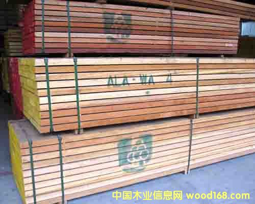 ����ľ��Ԕ����B