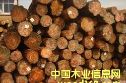 �Ĵ�����ݗ���ɵ�Ԕ��(x��)��B