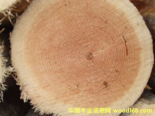 ��ɽľ�ĵ�Ԕ��(x��)��B