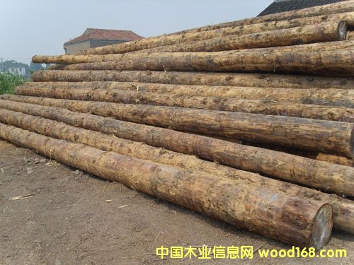 ��ɽľ��ԭľ��Ԕ��(x��)��B