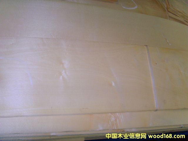 0.6�W��ɽ�y��Ԕ����B