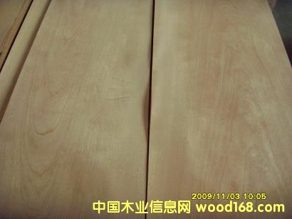 0.6���Ϙ�ɽ�yľƤ��Ԕ����B