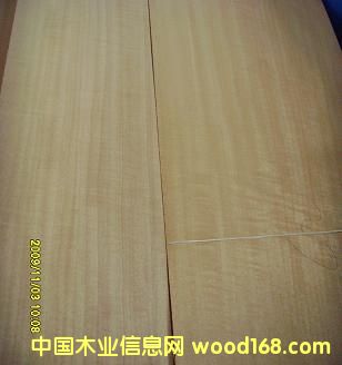 0.6�tӰ��Ԕ����B