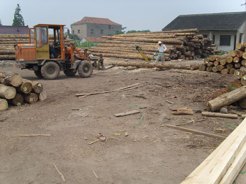 ����ľ�����۵�Ԕ����B