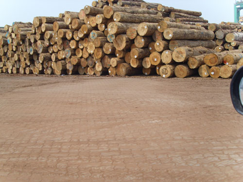 ����ľ���Ј���Ԕ����B