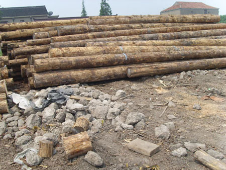 ����ľ�����l��Ԕ����B