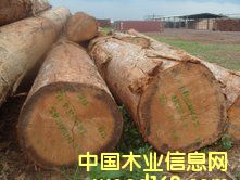 ����˹ԭľ��B+����Ԕ����B