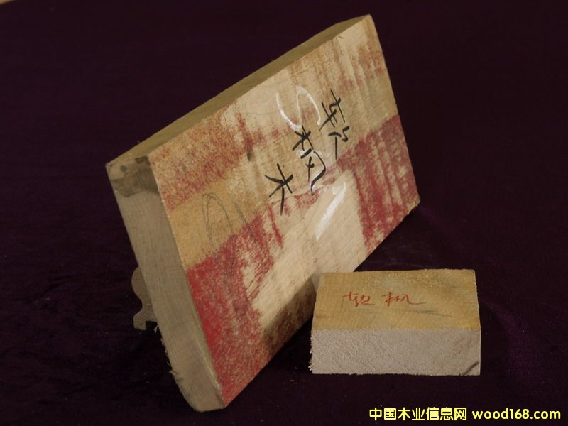 FSCܛ��ľ��Ԕ����B