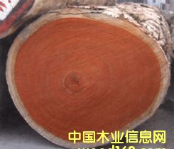 �t�����Ԕ����B