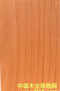 �����ɵ�Ԕ����B