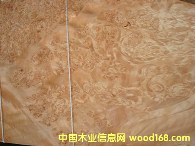 ����ľƤ���Fϵ�С�0.6�W��������Ԕ����B