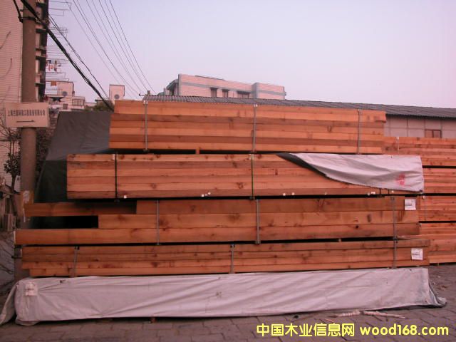 �tѩ�ɵ�Ԕ����B