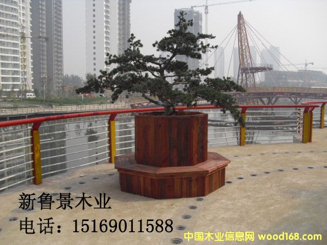 ���Ϸ���ľ����