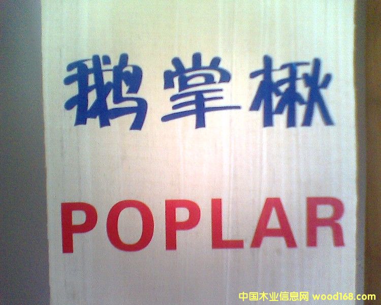 �����S��ľ��ɰ�ĵ�Ԕ����B