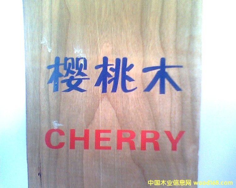 ��������ľ��ɰ�ĵ�Ԕ����B