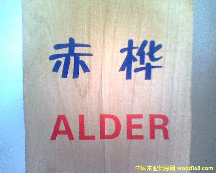 ��������ľ��ɰ�ĵ�Ԕ����B