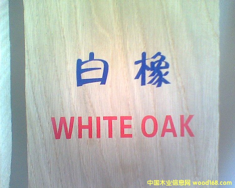 ��������ľ��ɰ�ĵ�Ԕ����B