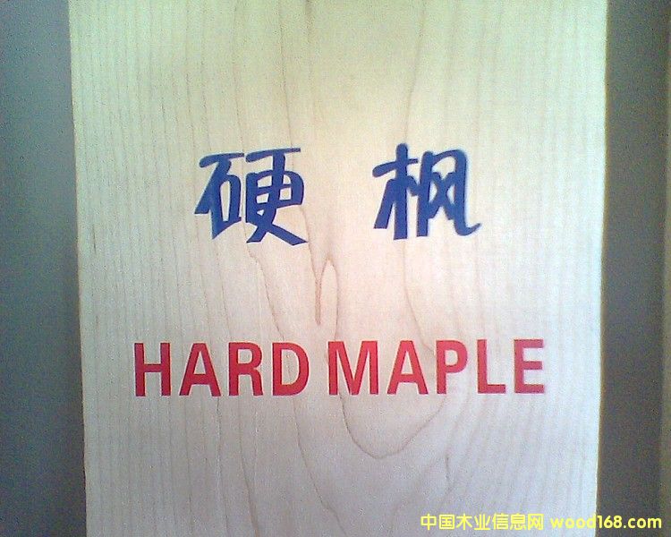 ����Ӳ��ľ��ɰ�ĵ�Ԕ����B