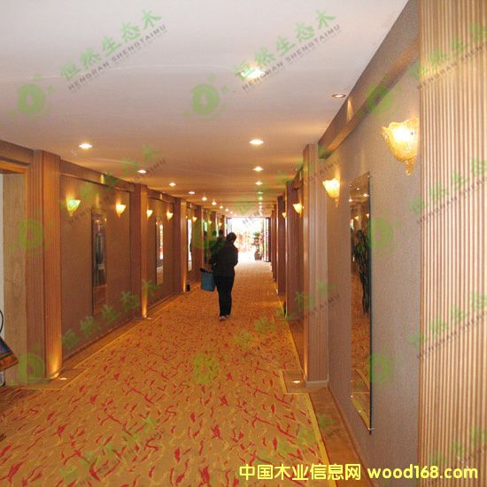 ���B(t��i)ľ��Ԕ��(x��)��B